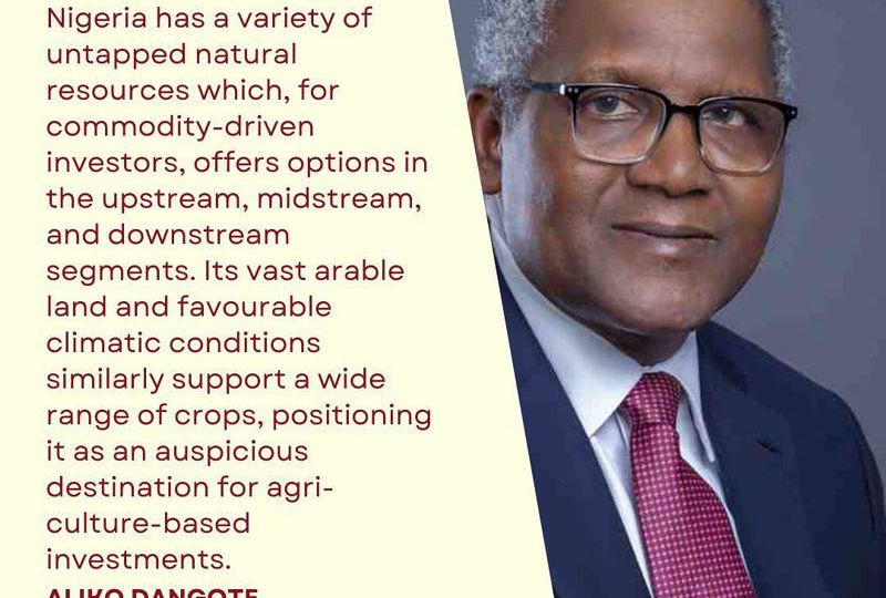 CT productions - Diamond sponsor for The World Ahead 2023 - Dangote Group