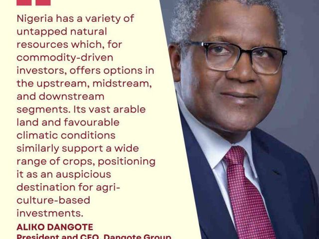 CT productions - Diamond sponsor for The World Ahead 2023 - Dangote Group
