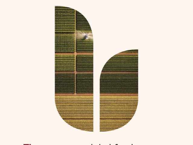 CT Productions - FOCUS Insights on agriculture